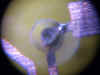 openservo08.jpg (78486 bytes)